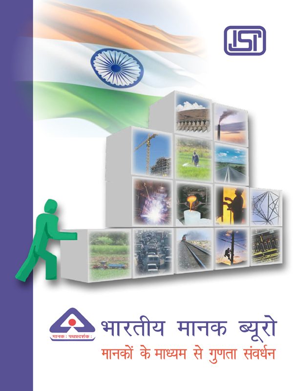 Bureau of Indian Standards Brochure by Magnum Custom Publishing